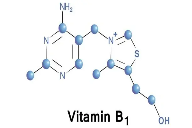 vitamin B1