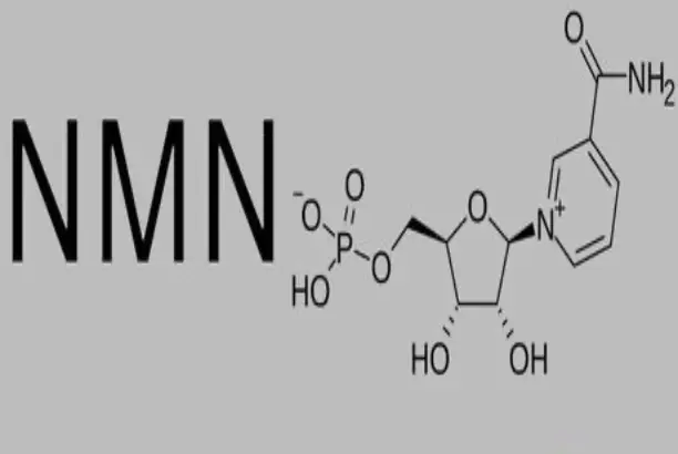 NMN Bulk Powder NMN Bulk Powder
