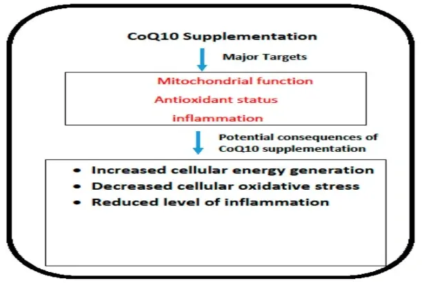 coenzyme-q10