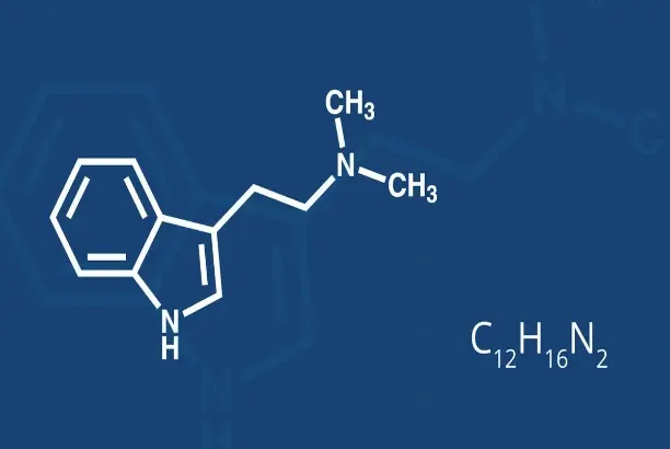Sildenafil Powder  Composition