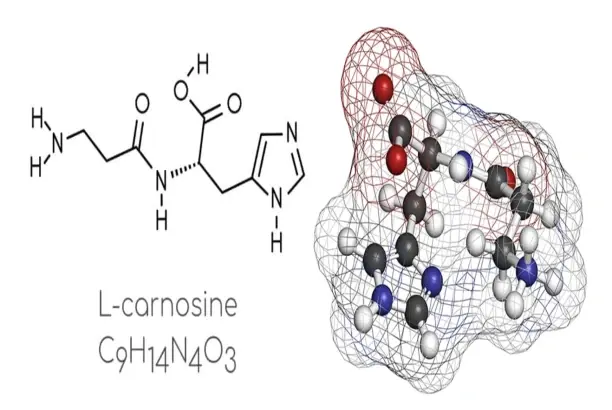 Zinc L-Carnosine Powder Zinc L-Carnosine Powder