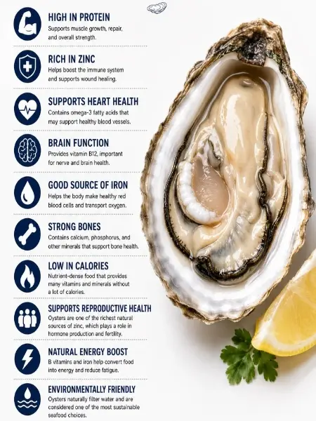 oyster-extract-powder oyster-extract-powder