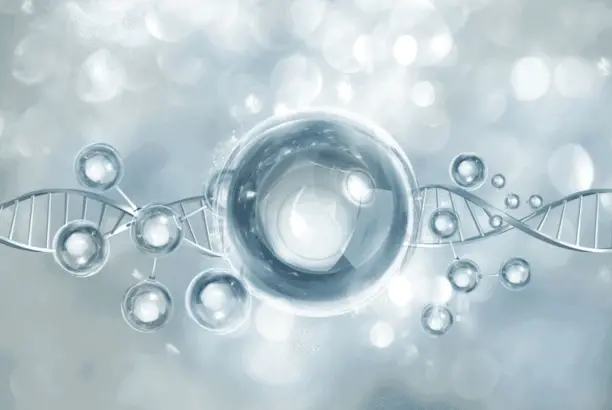 Nicotinamide riboside bulk powder