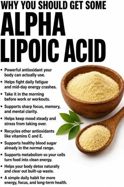 Alpha Lipoic Acid Powder