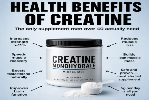 Creatina Bulk Powder Creatina Bulk Powder