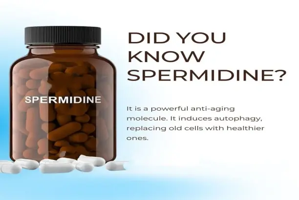 spermidine powder spermidine powder