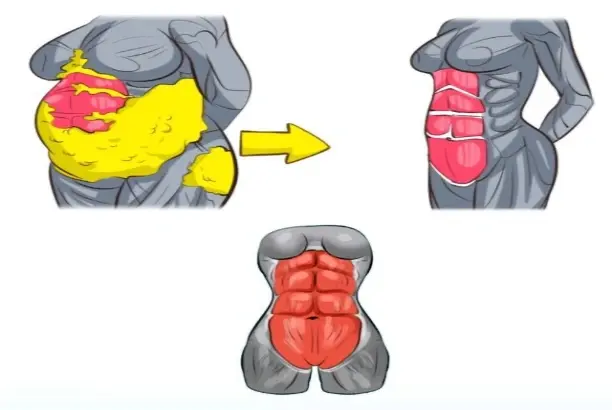 Fat reduction effect