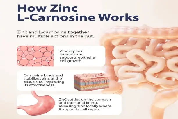 zinc-l-carnosine zinc-l-carnosine