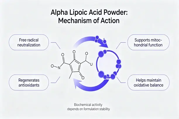 Alpha Lipoic Acid Alpha Lipoic Acid