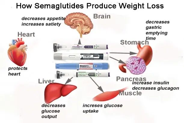 Semaglutide