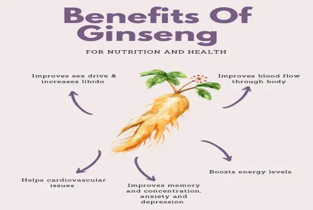 Ginseng Extract Powder benefits Ginseng Extract Powder benefits