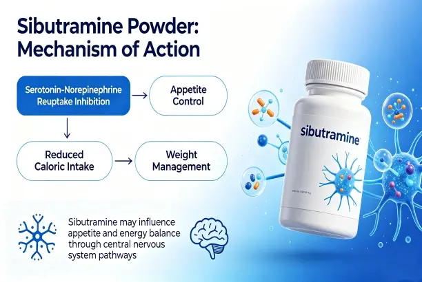 sibutramine action sibutramine action