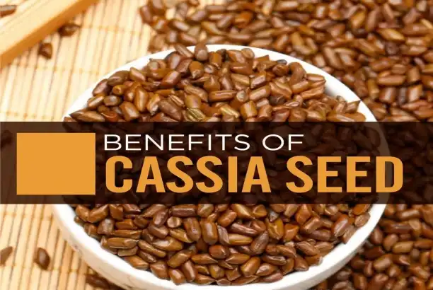 What is cassia angustifolia seed extract?