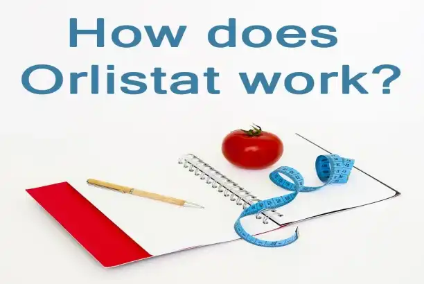 Orlistat Powder Bulk Supply: What Buyers Should Check First