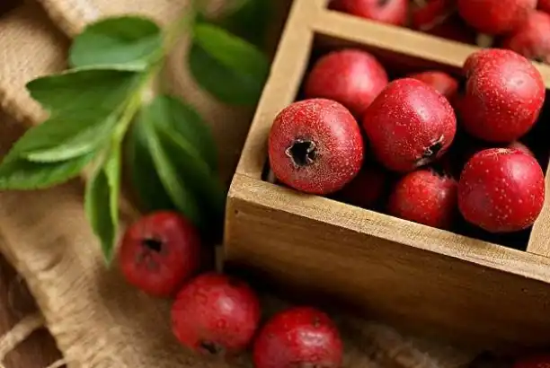 How Hawthorn Powder Acts as a Natural Antioxidant and Digestive Aid?