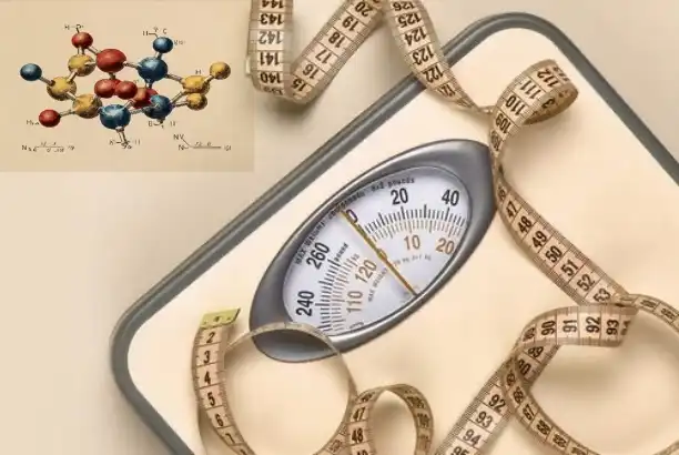 Sibutramine Powder for Personal Weight Management: A Comprehensive Guide