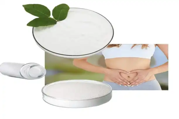 What Is L-Carnitine Pure Powder and How Does It Boost Fat Metabolism?