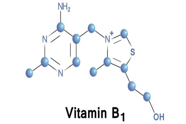 What does Benfotiamine bulk powder do to your body?
