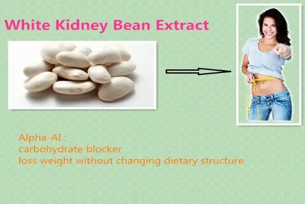 Where to Buy High Quality White Kidney Bean Extract Powder: A Buyer’s Guide