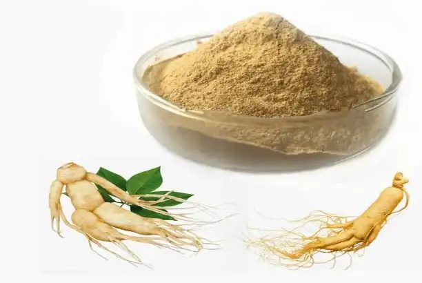 What does ginseng root extract powder do​?