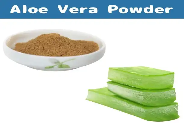 Do you know the key benefits of aloe vera leaf powder?