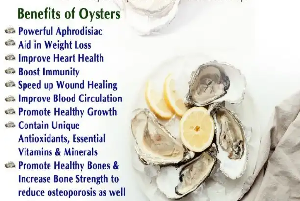 Oyster Extract Benefits: The Ultimate Nutrient Powerhouse