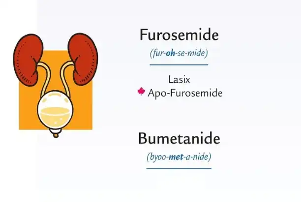 Pharmaceutical Grade Furosemide Powder: What You Need to Know