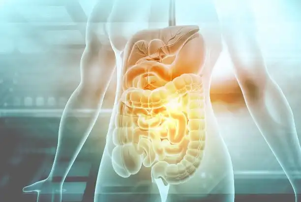 Zinc L-carnosine powder for Gut Health