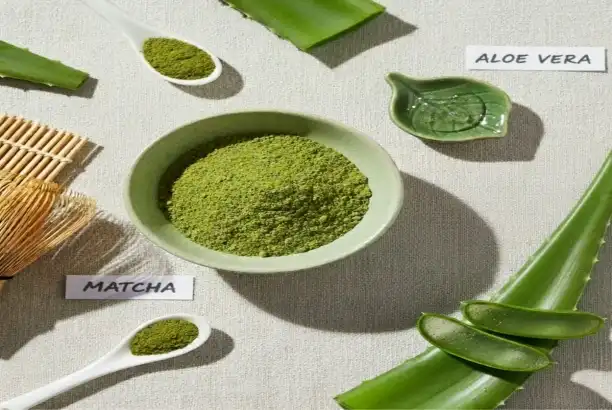 Aloe Vera Extract Powder: Why Aloin Levels Matter