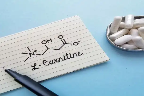 L-Carnitine Pure Powder for Sports Nutrition: Formulation Tips