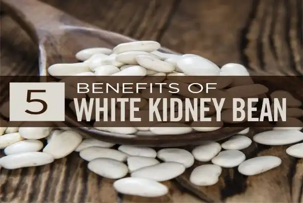 White Kidney Bean Extract Powder for Carb Blocking: Does It Really Work?