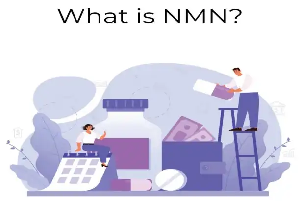 2026 Best NMN Bulk Powder for Global Buyers Tips?