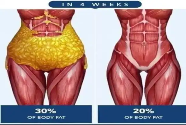 Can Sibutramine Powder Burn Fat Effectively?