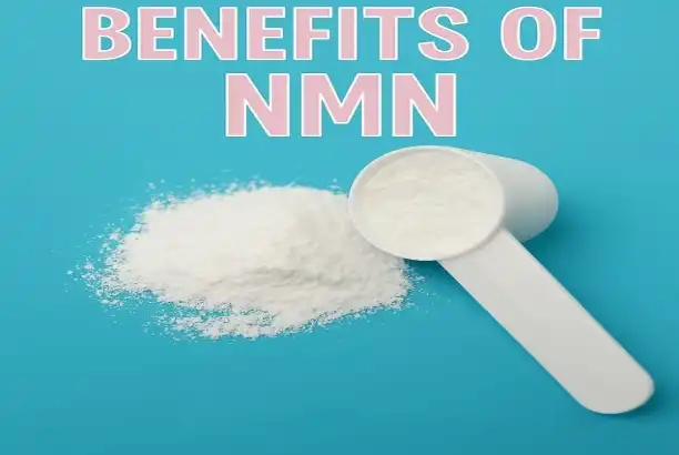 NMN Bulk Powder vs Capsules: Which Delivers Better Results?