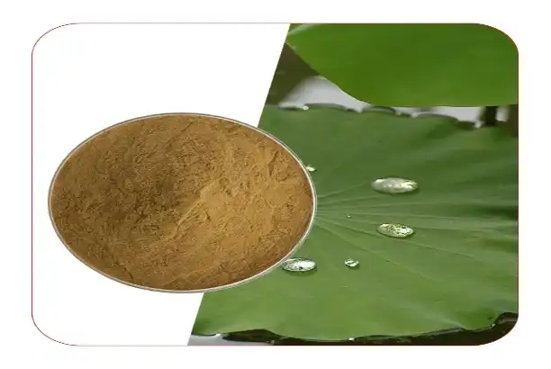 Is lotus leaf good for weight loss?