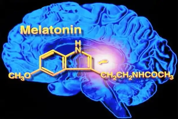 Where Can You Buy Melatonin Bulk Powder in Large Quantities?