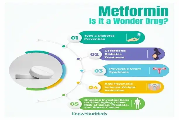 When Is the Best Time to Take Metformin?