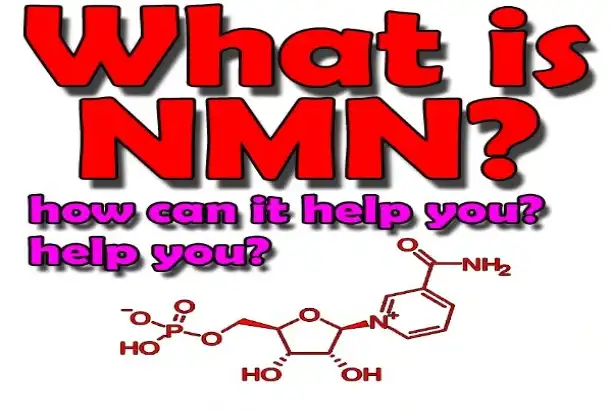Nicotinamide Riboside: A Closer Look at NR+ Supplements