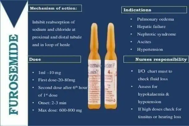Using Furosemide Powder for Veterinary Care: Dosage and Best Practices