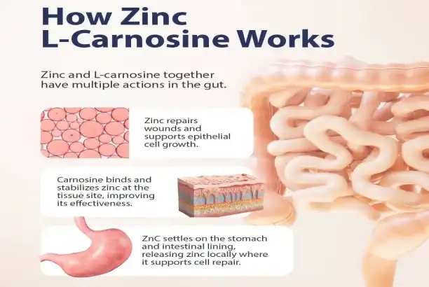 Tips for Taking Zinc L-carnosine Powder: Common Mistakes to Avoid