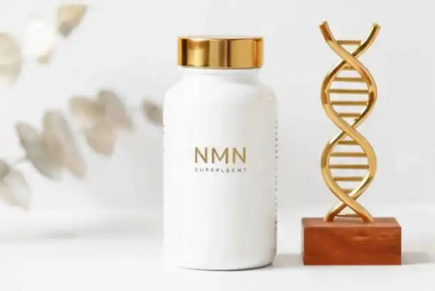 NMN Bulk Powder Supplements Explained: The Complete Beginner’s Guide