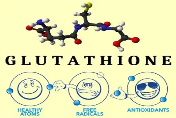 L-Glutathione Powder and Liposomal Delivery Technologies
