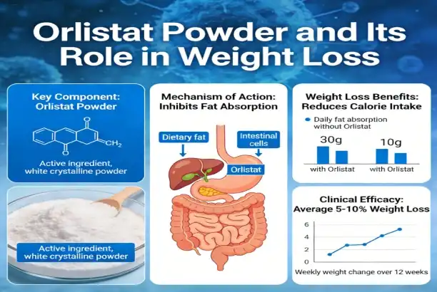 High Purity Orlistat Powder for Weight Loss: Benefits and Manufacturing Process
