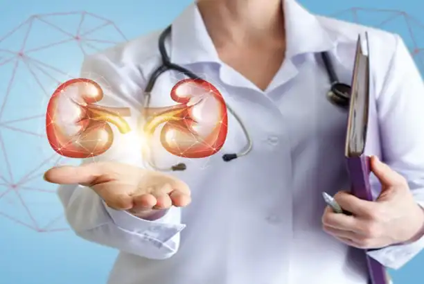 Furosemide Powder Uses, Dosage, and Safety Considerations