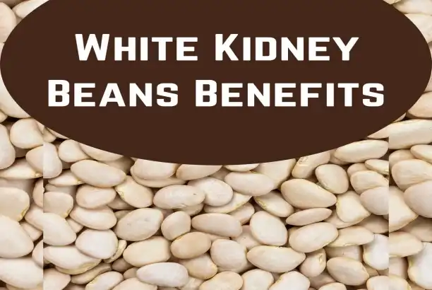 Best White Kidney Bean Extract Powder for Diet & Metabolism Support