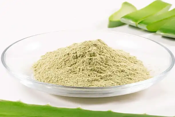 Inside the Manufacturing Process of Aloe Vera Extract Powder