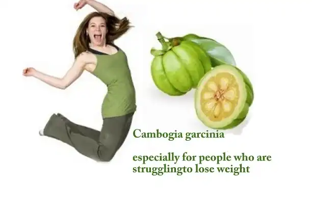 How to take garcinia cambogia powder for weight loss?