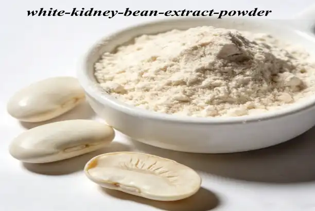 Top 5 Benefits of White Kidney Bean Extract Powder for Natural Weight Loss
