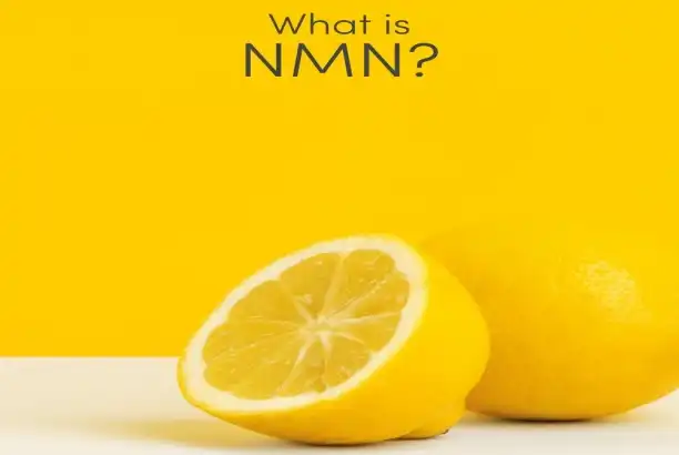 What's the best and most affordable way to get NMN Bulk Powder?