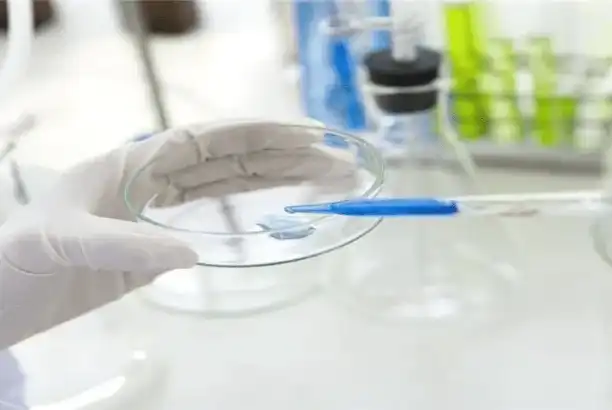 What is lidocaine powder used for?